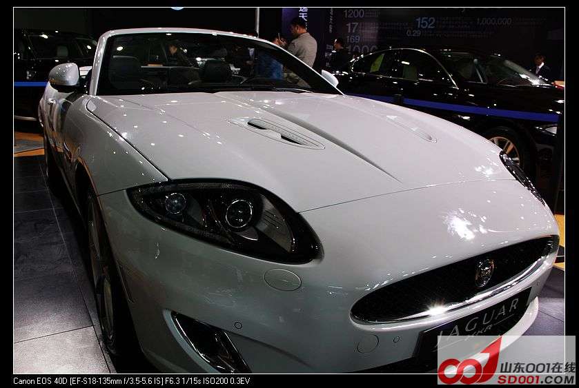 nEO_IMG_��Ƭ 206.jpg