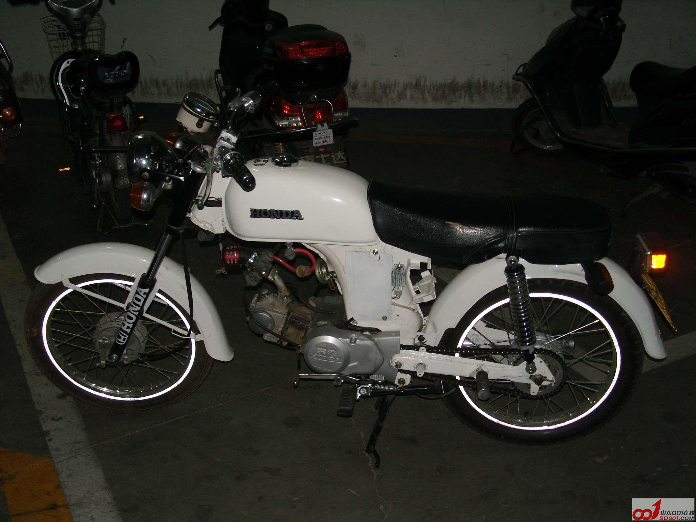 SNV10024.JPG