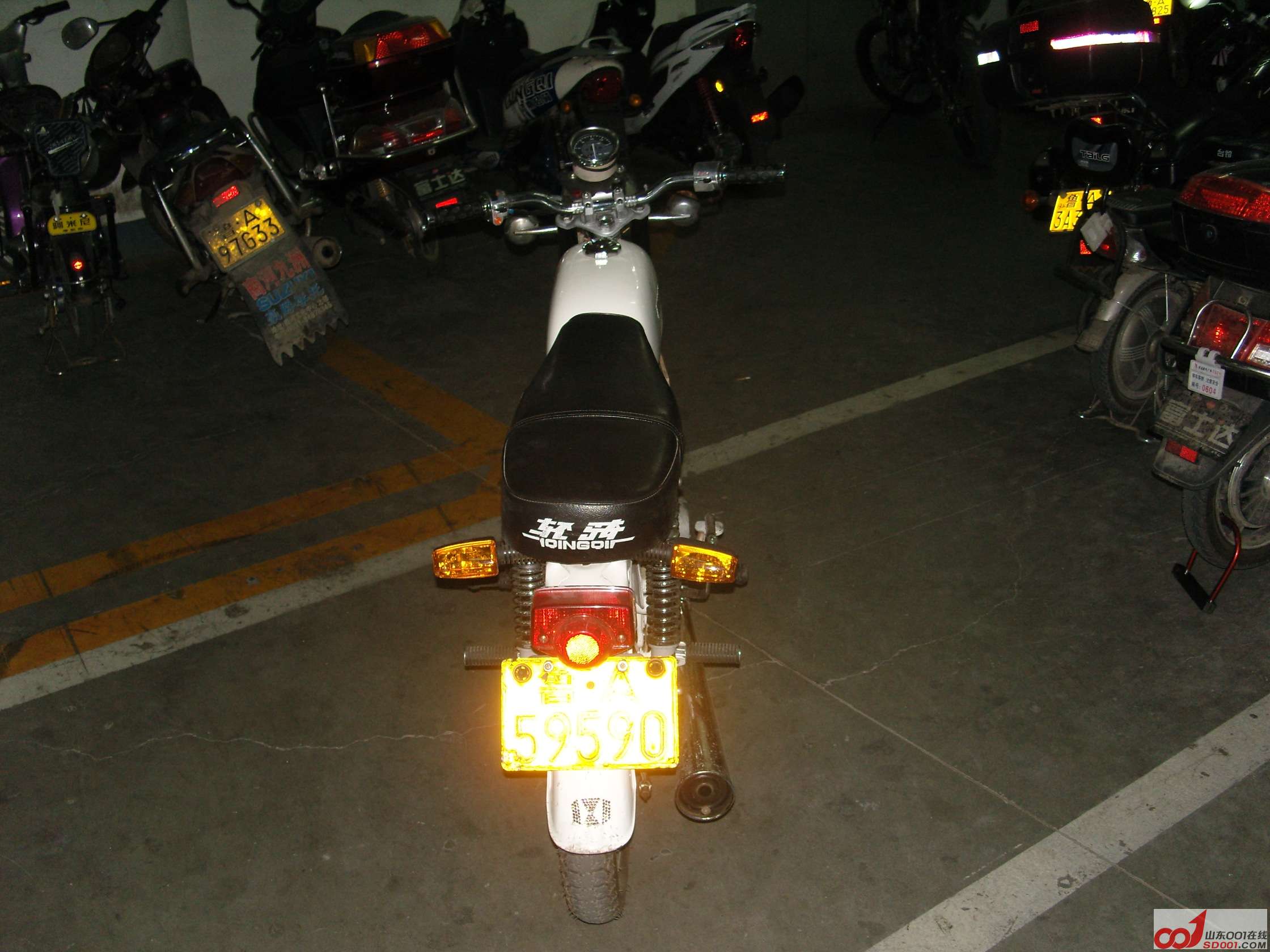 SNV10025.JPG