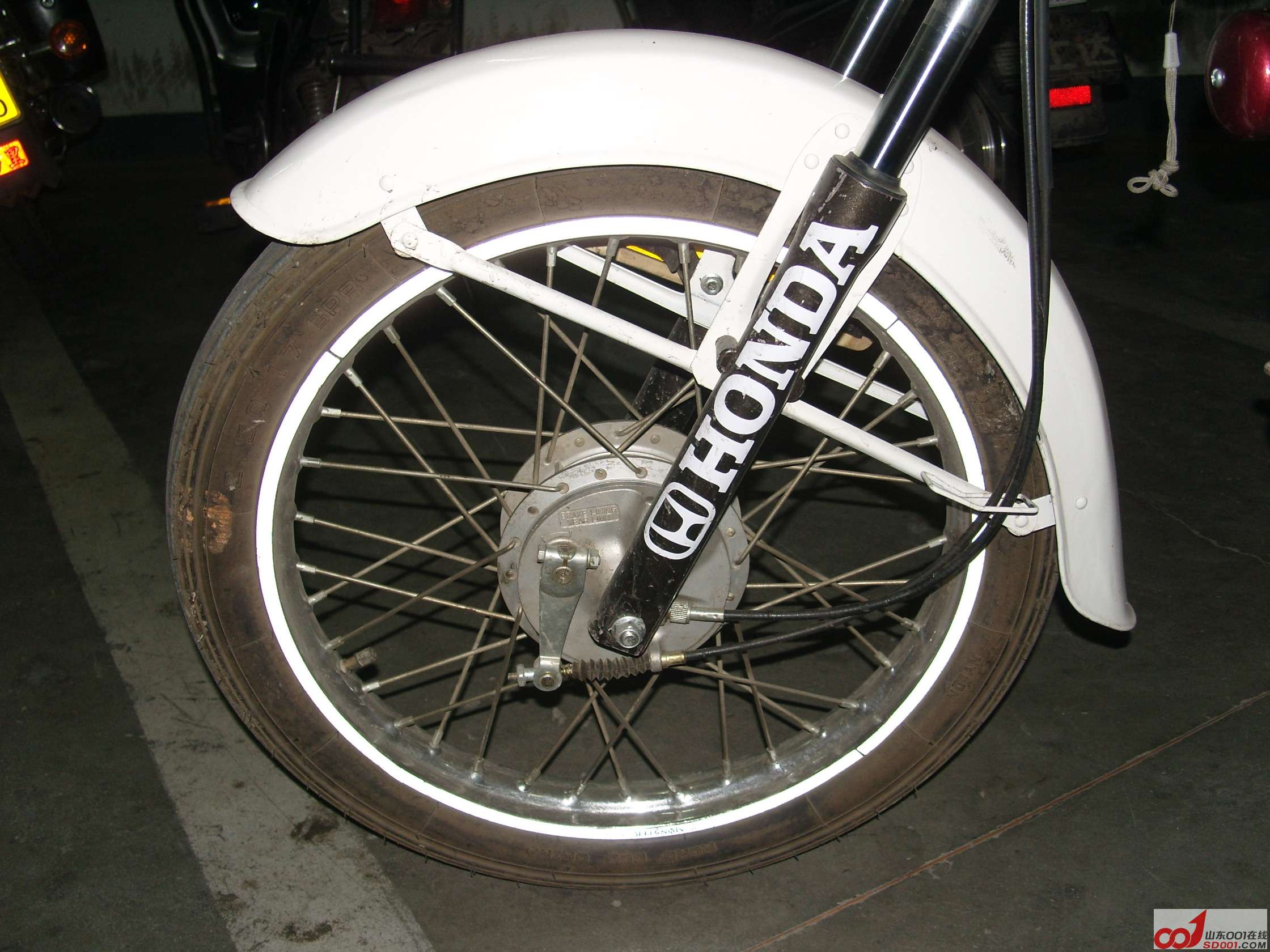 SNV10031.JPG