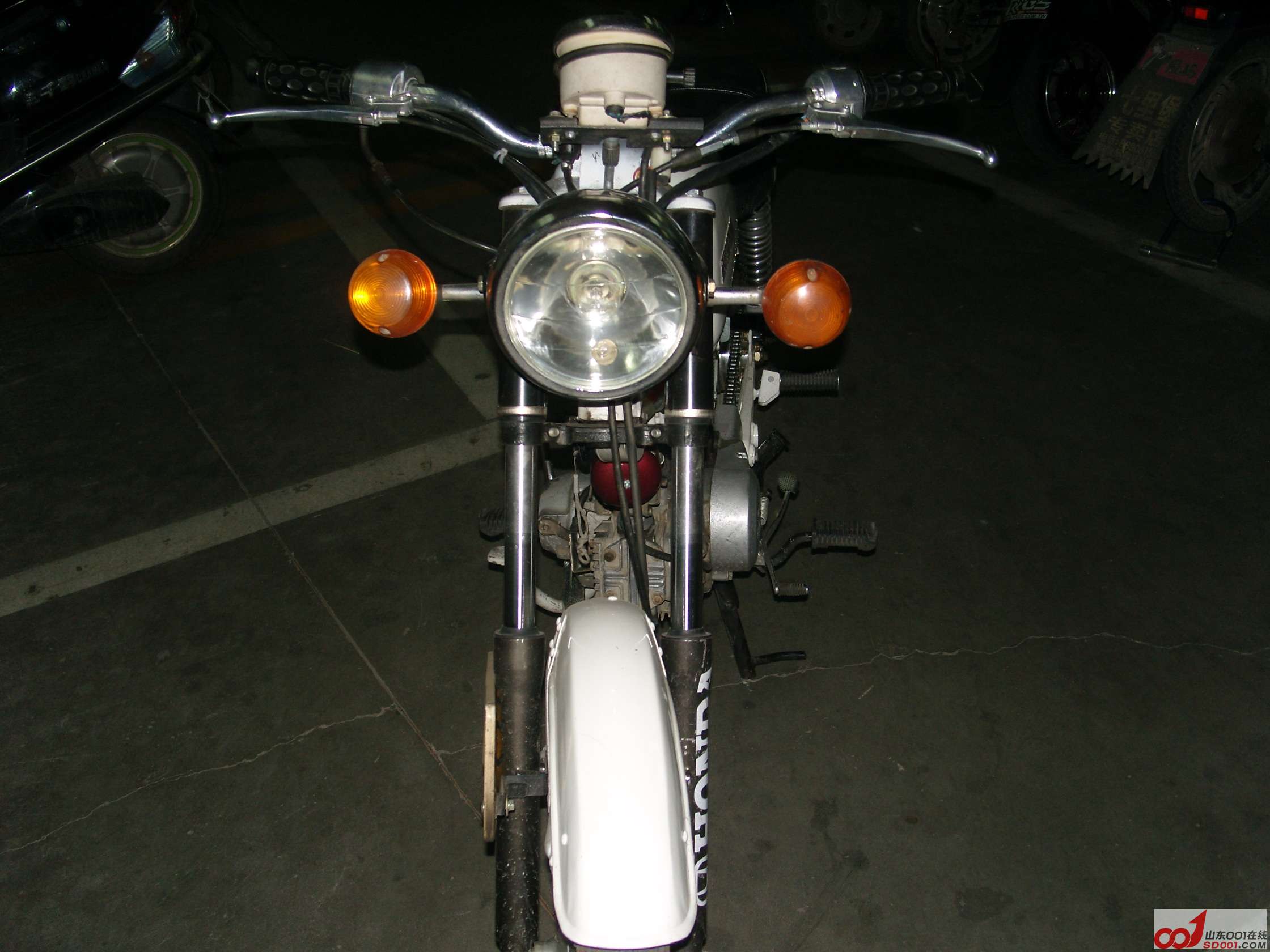 SNV10034.JPG