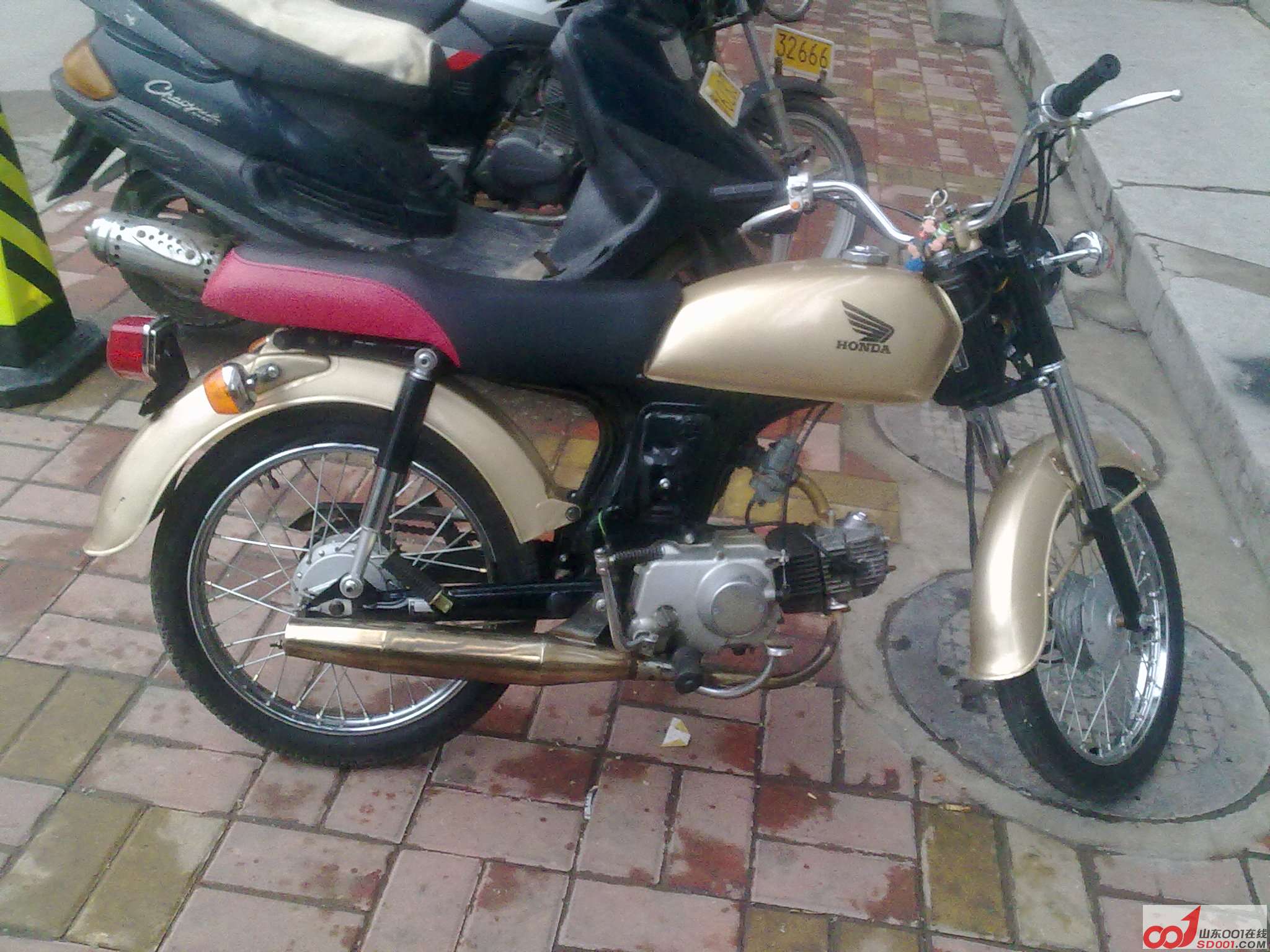 20110508038.jpg