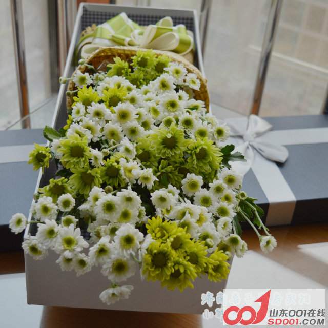 ���ڳ��� ���� ���