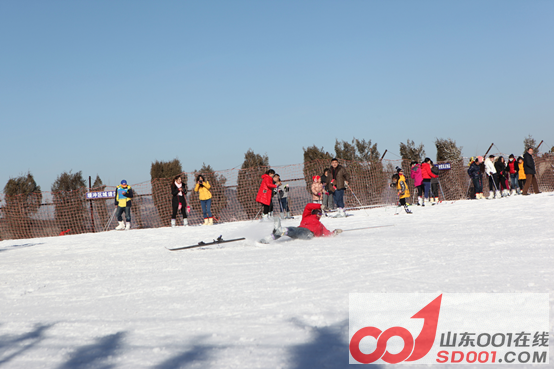 x5ax ��ѩ�Ŷ�������ݮ�Ŷ��壬�Ž����������460.png