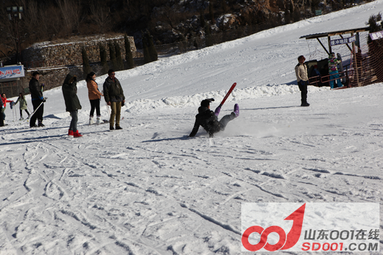 x5ax ��ѩ�Ŷ�������ݮ�Ŷ��壬�Ž����������585.png