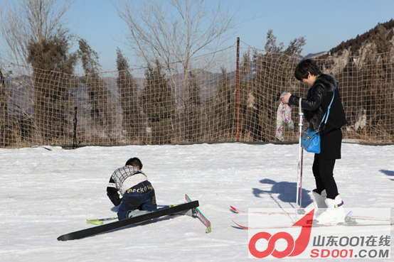 x5ax ��ѩ�Ŷ�������ݮ�Ŷ��壬�Ž����������587.png