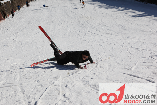 x5ax ��ѩ�Ŷ�������ݮ�Ŷ��壬�Ž����������726.png