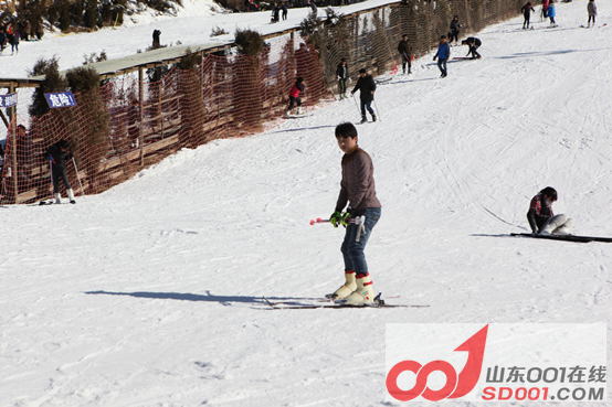 x5ax ��ѩ�Ŷ�������ݮ�Ŷ��壬�Ž����������724.png