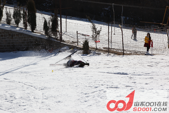 x5ax ��ѩ�Ŷ�������ݮ�Ŷ��壬�Ž����������725.png