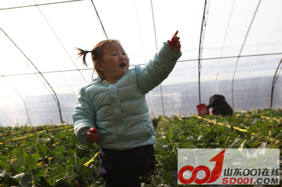 x5ax ��ѩ�Ŷ�������ݮ�Ŷ��壬�Ž����������909.png