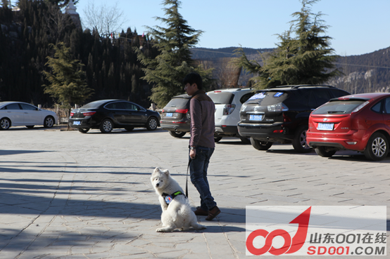 x5ax ��ѩ�Ŷ�������ݮ�Ŷ��壬�Ž����������727.png