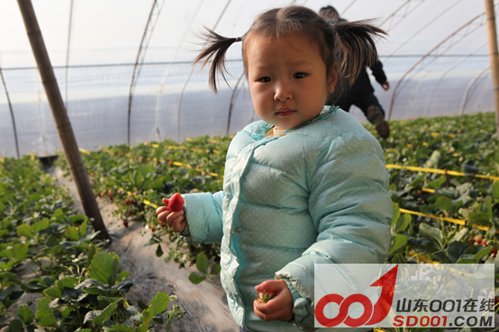 x5ax ��ѩ�Ŷ�������ݮ�Ŷ��壬�Ž����������910.png