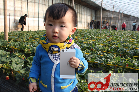 x5ax ��ѩ�Ŷ�������ݮ�Ŷ��壬�Ž����������915.png