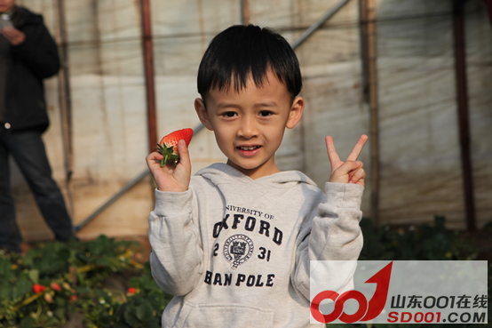 x5ax ��ѩ�Ŷ�������ݮ�Ŷ��壬�Ž����������912.png