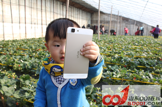 x5ax ��ѩ�Ŷ�������ݮ�Ŷ��壬�Ž����������914.png