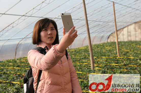 x5ax ��ѩ�Ŷ�������ݮ�Ŷ��壬�Ž����������916.png