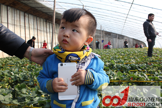 x5ax ��ѩ�Ŷ�������ݮ�Ŷ��壬�Ž����������917.png