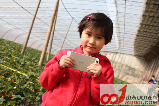 x5ax ��ѩ�Ŷ�������ݮ�Ŷ��壬�Ž����������918.png