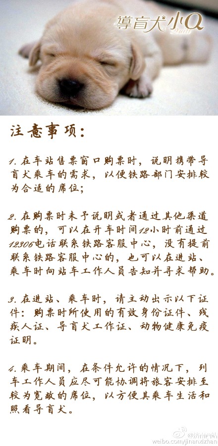 5��1���������м��ÿͿ���Я����äȮ��վ�˳����� - ˴�� - 93b313a7jw1eraobmkl7rj217r2hoath.jpg