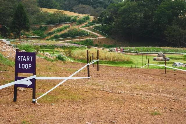 ��һ���ļ���حNINO SCHURTER���ձ�֮��-17.jpg