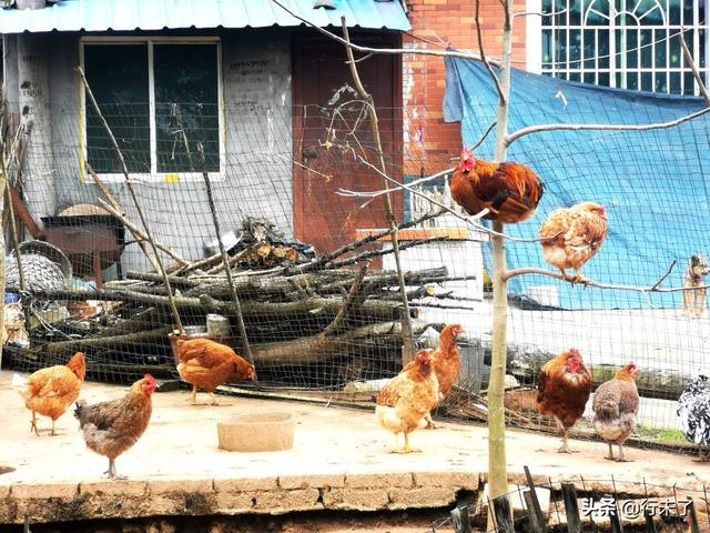 ���������ǧ�����е�26�� ���������� ������� 1��2��-6.jpg