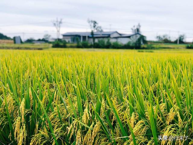 ���������ǧ�����е�26�� ���������� ������� 1��2��-7.jpg