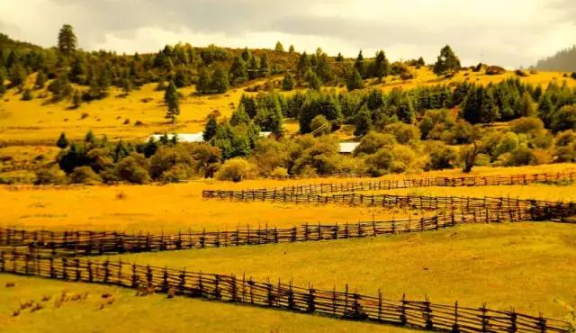 �����ء� �þò�������������-12.jpg