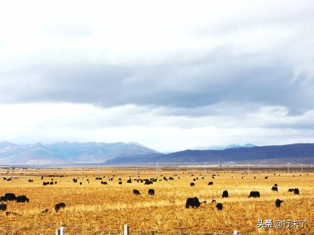 �����������������������е�4�� �ּ� ������������߳�-14.jpg