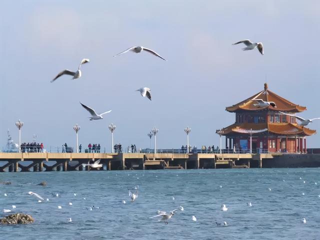 ɽ��ʡ�Ļ�������������������·�Ƽ�����������ѧƪ | ������³-7.jpg