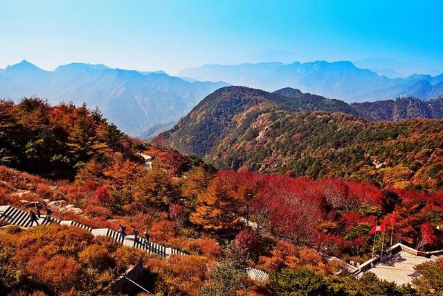 ɽ��ʡ�Ļ�������������������·�Ƽ�����������ѧƪ | ������³-48.jpg