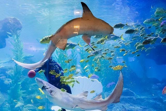 ɽ��ʡ�Ļ�������������������·�Ƽ�����������ѧƪ | ������³-57.jpg