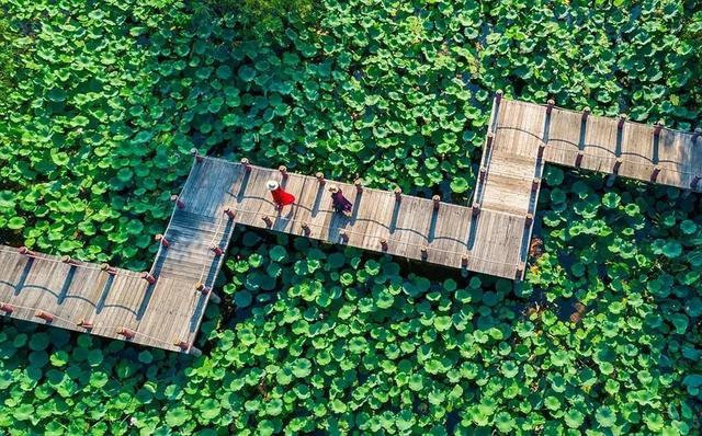 ɽ��ʡ�Ļ�������������������·�Ƽ�����������ѧƪ | ������³-68.jpg