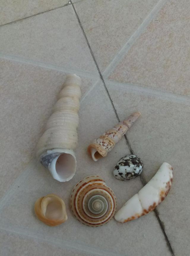 ��һ��˵�߾��ߵ�����--��������֮��  ��1��-5.jpg