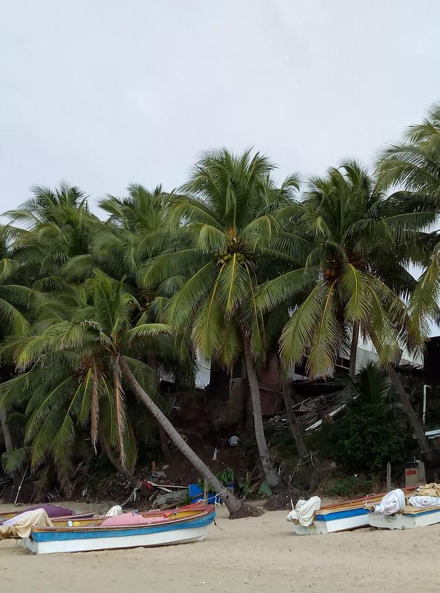 ��һ��˵�߾��ߵ�����--��������֮��  ��1��-7.jpg