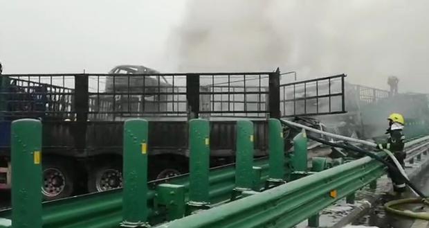 ʹ�ģ�����3��6�ˣ���ï����ͭ���γ���ȷ��43����ײ �����������¹�-3.jpg