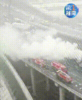 ʹ�ģ�����3��6�ˣ���ï����ͭ���γ���ȷ��43����ײ �����������¹�-1.jpg