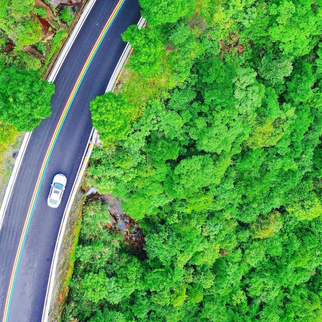 �Լ���ʮ����Ʒ��· | ���Ķ��������ȼ�+������飬��ѡ������-1.jpg