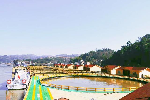 �Լ���ʮ����Ʒ��· | ���Ķ��������ȼ�+������飬��ѡ������-13.jpg