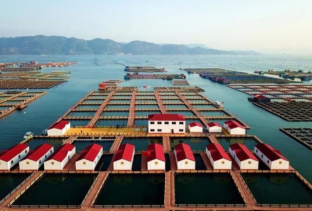 �Լ���ʮ����Ʒ��· | ���Ķ��������ȼ�+������飬��ѡ������-39.jpg