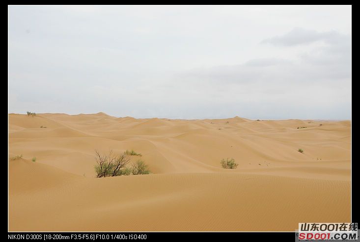 nEO_IMG_����֮�� 1593.jpg