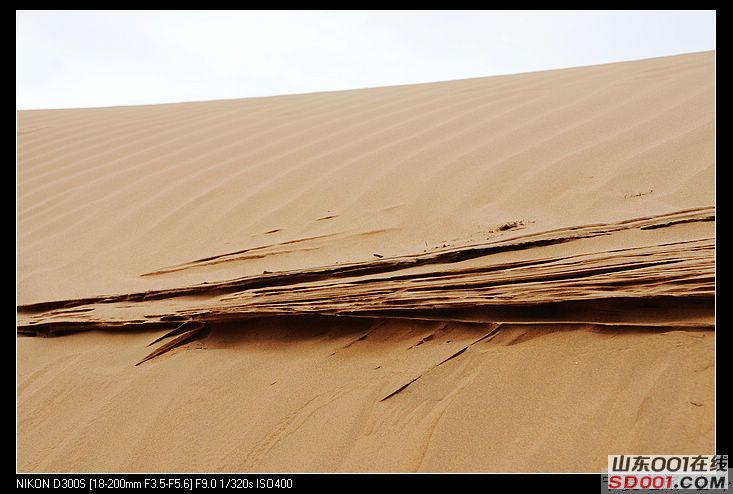 nEO_IMG_����֮�� 1604.jpg