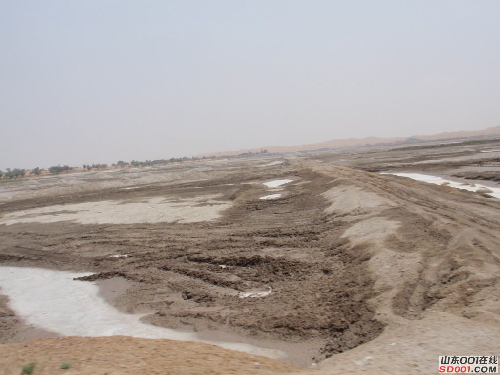 Copy of ��̲.jpg